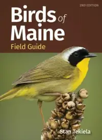 在飛比找博客來優惠-Birds of Maine Field Guide