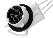 Genuine GM Multi-Purpose Lamp Socket 15306188