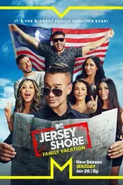Jersey Shore poster (b) - 11 x 17 inches