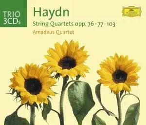 HAYDN: String Quartets op. 76; op. 77; op. 103 / Amadeus Quartet