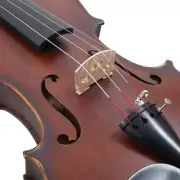 Palatino 4/4 Full Size ANZIANO Violin Outfit VN-950