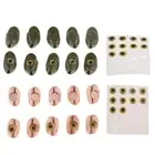 10pcs of Sculpin Head for Fly Tying