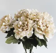 Cottage Rose Stem Beige Open Roses Faux Silk Artificial Flowers Wild Roses Stems