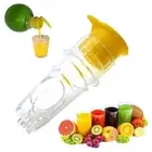 Screw Top Lemon Squeezer GXC