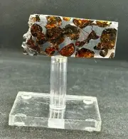 RARE PALLASOVKA METEORITE PALLASITE PARTIAL SLICE 15,47 g