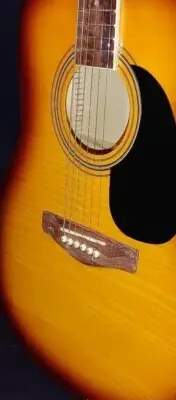 GLEN BURTON GA101-FCO/TS DREADNOUGHT-FLAME TOP - GIG BAG & TUNER - BOUND - NEW