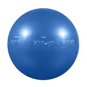 GoFit 55cm Proball Sports Gym Exercise Fitness/Yoga Training Stability Ball Blue