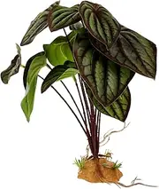 Abaodam Artificial Reptile Plants for Terrarium Decor Vivid Simulation Plant for Bearded Dragon Fish Tank Weighted Base for Stability for Amphibians Home Decoration
