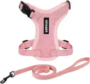 Voyager Step-in Lock Cat Harness - Adjustable Step-in Vest Harness for Small and Large Cats - Pink (Matching Trim), XXX-Small