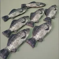 在飛比找Yahoo!奇摩拍賣優惠-現貨熱銷-魚錢包 魚形錢包包包仿真咸魚抖音食物筆袋個性魚形狀