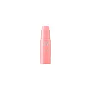The Saem - Perfect Glam Stick Blusher - 6g - PK01 Pink Fairy