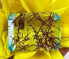 Bi-Color Rutilated Quartz 149Ct Certified Natural Emerald Cut Loose Gemstone KKP