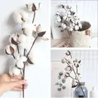 Fake Flower Floral Branch Dried Cotton Flower Artificial Plants Cotton Stem