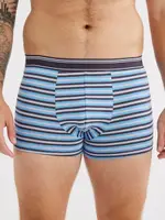 Mens Trunk