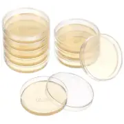 10 Pcs Pre Poured Agar Plates Nutrient Gel Petri Dish Suite