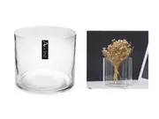 bulk 6 Glass Cylinder Decorative Vase 15x15cm