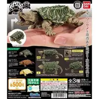 在飛比找有閑購物優惠-【台中金曜】店鋪現貨 萬代 BANDAI 烏龜收藏03 全3