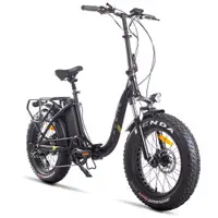 在飛比找蝦皮購物優惠-36800元 折疊電動自行車寬胎車、沙灘車！ 20吋鋰電輔助