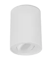 Surface Round Gimbal Surface Mounted Ceiling DownLight Matt White