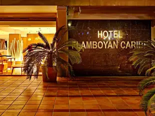 佛拉姆博延加勒比飯店Hotel Flamboyan-Caribe
