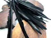 1/4 Lb. Black Goose Pointers Long Primary Wing Wholesale Feather Costume Supply