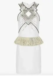 NWT RRP $1500 Sass & Bide PART TIME BELIEVER Raffia Mini Dress FREE POST Size 10