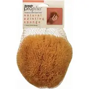 Armaly Brands 15216-7 Sponge PNT Med Txtur