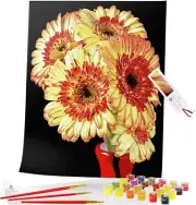 DIY Paint by Numbers for Adults, Rolled Canvas, 16x20", Acrylic Painting Kit