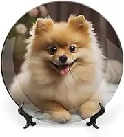 Bone China Decorative Plate Ceramic Dinner Plates Cute Pomeranian Dog Ceramic Decorative Plate with Display Stand Art Crafts Ceramic Ornaments for Wall Hanging Decor 8inch