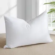 Goose Feather Down Pillow Standard Size - Luxury Standard - 1 Pack Solid White
