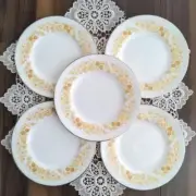 [New Unused] Wedgwood Black Vase Mimosa Small Plate Set of 5 From Japan