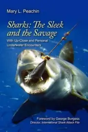 Sharks The Sleek and The Savage: with up close and underwater personal encounter