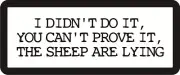 3 - I Didn't Do It, You Can't Prove It Hard Hat / Biker Helmet Sticker BS213