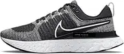 [Nike] React Infinity Run Flyknit CT2357-101 Mens Running Shoes (White/Black)