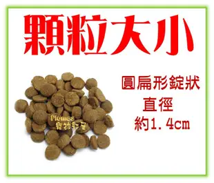 【Plumes寵物部屋】ACANA愛肯拿《無穀潔牙成犬-雞肉+蔬果》6kg-WDJ推薦狗飼料【免運費】