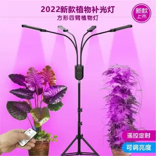2022新款LED植物燈 室內植物生長燈全光譜多肉植物補光燈