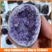 700-800g Cut Base Natural Amethyst Geode Quartz Crystal Cave Cluster Mineral US