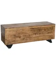 Kosas Home Axis 46in Storage Trunk