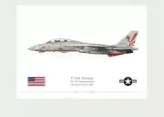 Warhead Illustrated F-14A Tomcat VF-111 Sundowners USS Carl Vinson Print