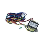 Raypak AVIA Gas-Fired Transformer 120/240/24V | 018858F