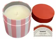 Grapefruit Tangerine Pineapple Scented 10.5oz 1-Wick Candle in Rose Stripe Can
