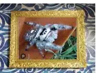 Jumping Spider - 4x6 Glossy Photo Picture With Frame (A6