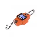 Mini Portable Digital Electronic Weight Crane Scale 300kg Hook Heavy Duty