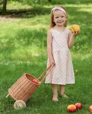 NEW wicker toy trolley storage basket wicker gurney toy basket toy carriage
