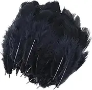IOIUSKKU Premium 100x Chicken Satinettes Loose Feathers for DIY Craft Wedding, Black, 5-10cm