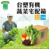 在飛比找樂天市場購物網優惠-【台塑蔬菜】有機蔬菜宅配箱 (單箱體驗)