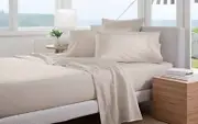 Pair of Sheridan Percale 300TC Cotton Standard Pillow Cases Putty