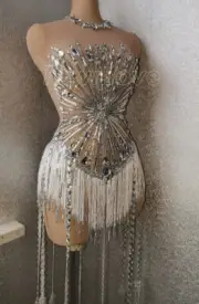 Sparkly Crystals Sequins Fringe Transparent Bodysuit Dress Celebrate Show Outfit