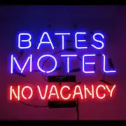 Bates Motel No Vacancy Acrylic 20"x16" Neon Sign Lamp Light With Dimmer