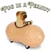 Pull Back Car Pug In A Peanut Fun Novelty Gift by Archie McPhee